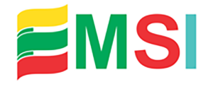 EMSI logo refusbished
